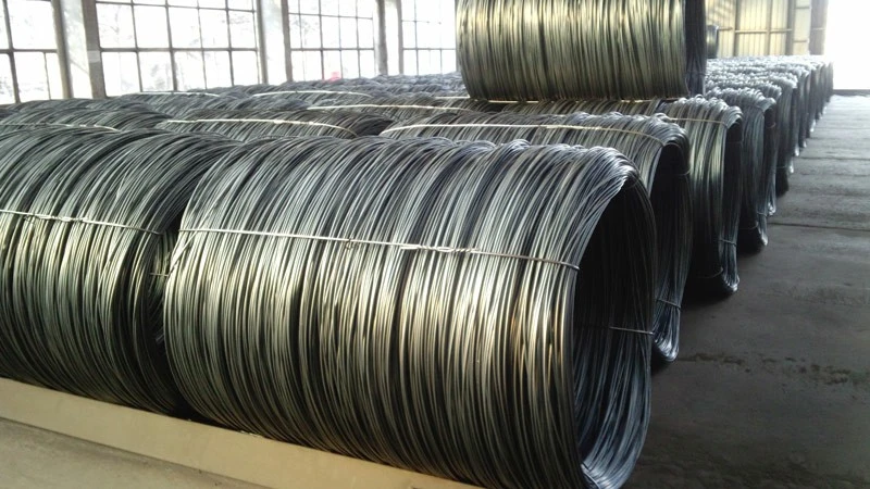 Supplier of High Carbon Ms Steel Wire Rod SAE 1008 /1006 0.3mm 6.5mm ASTM 14 Galvanized Steel Wire Rope in Good Price