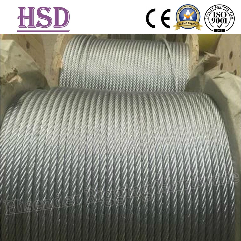 Professional Manufacturer of Stainless Steel304/316 Wire Rope