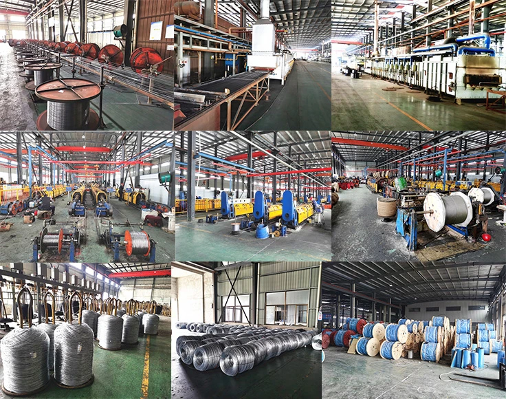 Wire Rope Factory Galvanized Flexible 6X7+FC Steel Wire Rope