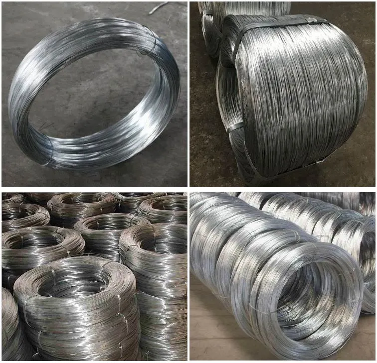 AWG8 to 26 Galvanized Gi Wire Hot Dipped Fastener Wire Rope 1.8 mm Galvanized Wire Zinc Coated Electro Iron Steel Wire