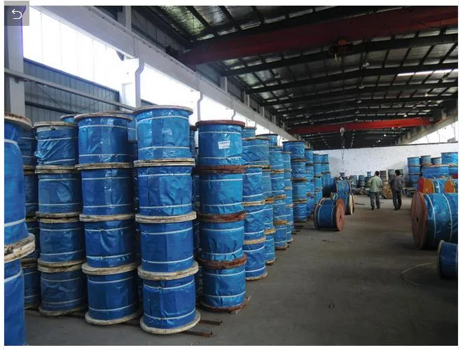 Wire Rope, Packing with Wooden Reel, Galvanized and Ungalvanized, Ss316, Ss304,