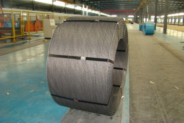 Galvanized Wire Cable 7X7 Steel Wire Rope 1*7 16mm Galvanized Steel Wire Strand/Stay Guy Wire/Ungalvanized Steel Wire Rope