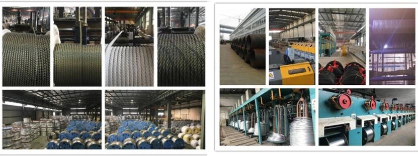 7X7 Steel Core Wire Rope Ungalvanized or Galvanized Steel Cable 15mm