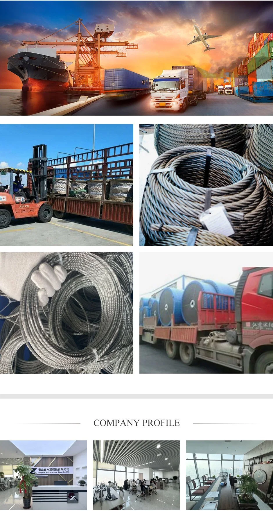 Manufacture 1*7/1*19/7*7/7*19 PVC /PP/PA/TPU Coated Stainless Steel Wire Rope/Steel Cable