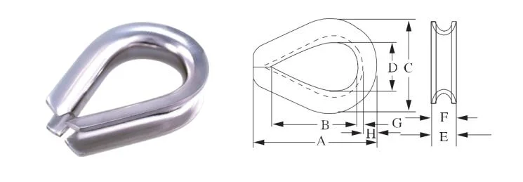 European Type Stainless Steel Wire Rope Thimble