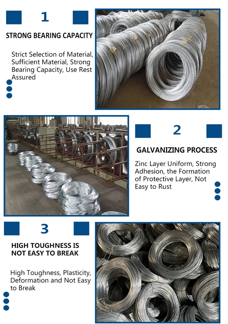 Factory Cold Drawn Galvanized Steel Wire SAE ASTM1006/1008low Carbon Steel Wire 1050 Wire High Tensile Steel Wire/Annealed Steel Wire/Rope0.1mm-14mmspring Wire