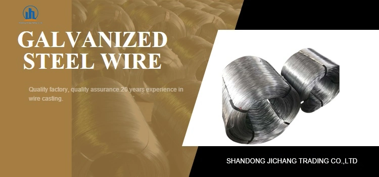 10 Gauge Hot-Dipped Galvanized Steel Wire Rope or PVC Coated Steel Gi Wire