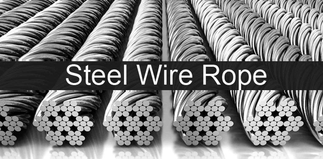 China Supplier 6*19+FC 6mm Electric Galvanized Steel Wire Rope for Tower Crane