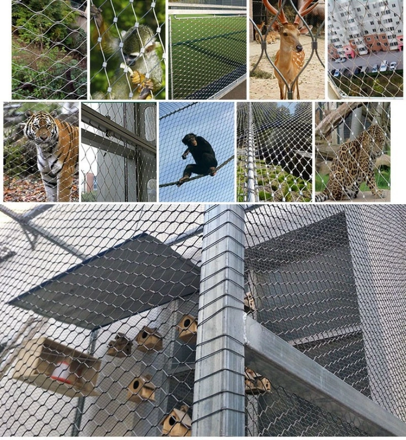 Ss Rope Mesh Fencing Protecting Animals Customized X Tend Flexible Stainless Steel Cable Wire Zoo Mesh