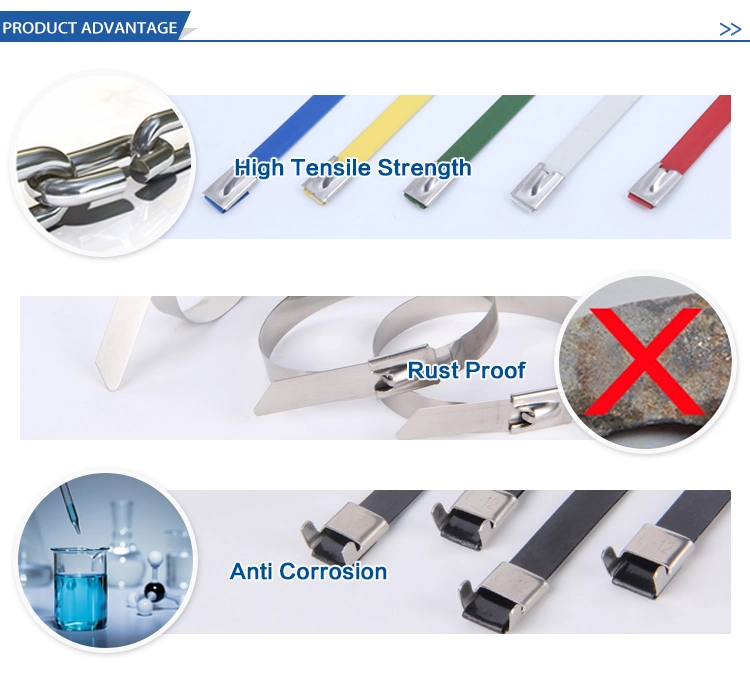 Plastic Coated Metal Strap Ties Stainless Steel Security Cable