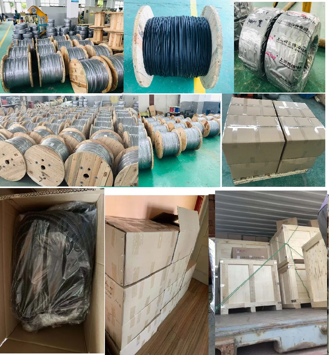 Oil Resistant CAT6A Flat Elevator Cable SFTP Shielded with Steel Wire on Both Sides