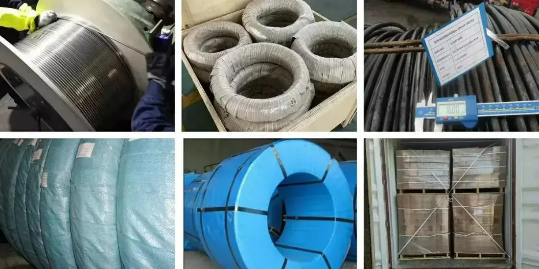 Factory 1mm 1.5mm 2mm 3mm Low Carbon Steel Wire Rod ASTM GB JIS DIN AISI BS International Standard Large Stock Steel Wire for Low Price Stainless Steel Wire