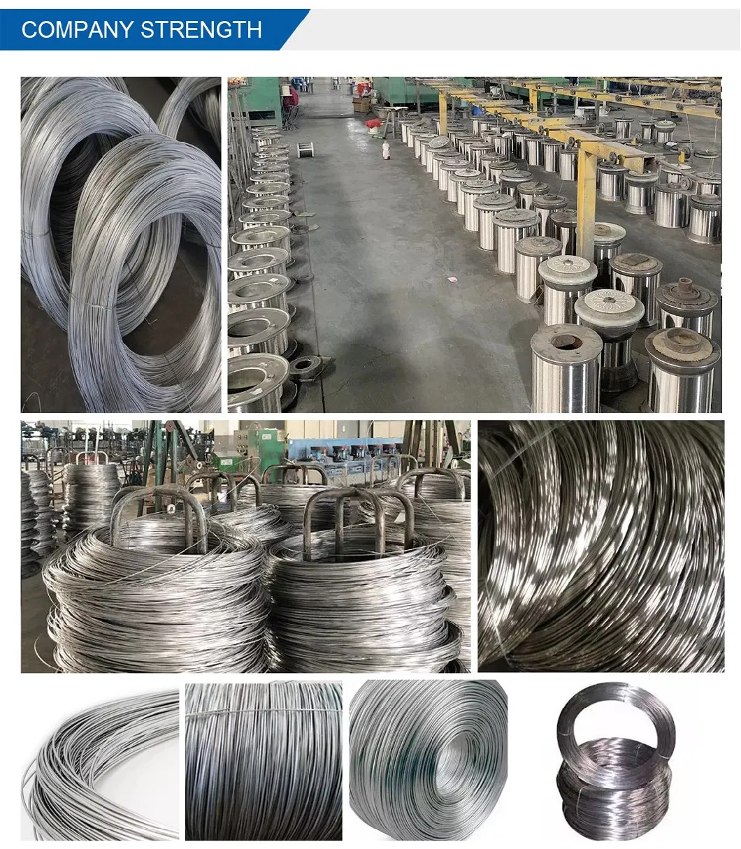 High Quality 304/304h/304L/316/316L 316 AISI Stainless Steel Wire for General Engineering