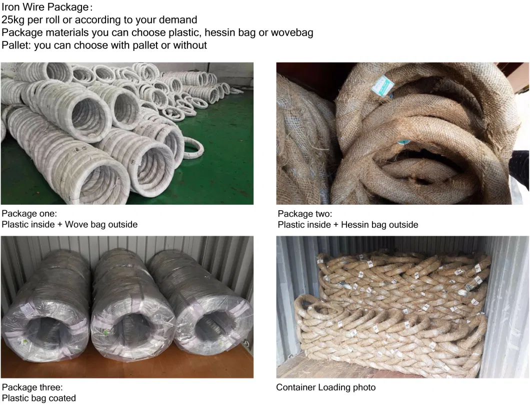 China Factory Binding Steel Wire/Electro Galvanized Iron Wire/Barbed Wire/Tie Wire Hot Dipped Galvanized Steel Wire 12/16/18 Gauge Electro Galvanized Gi Wire