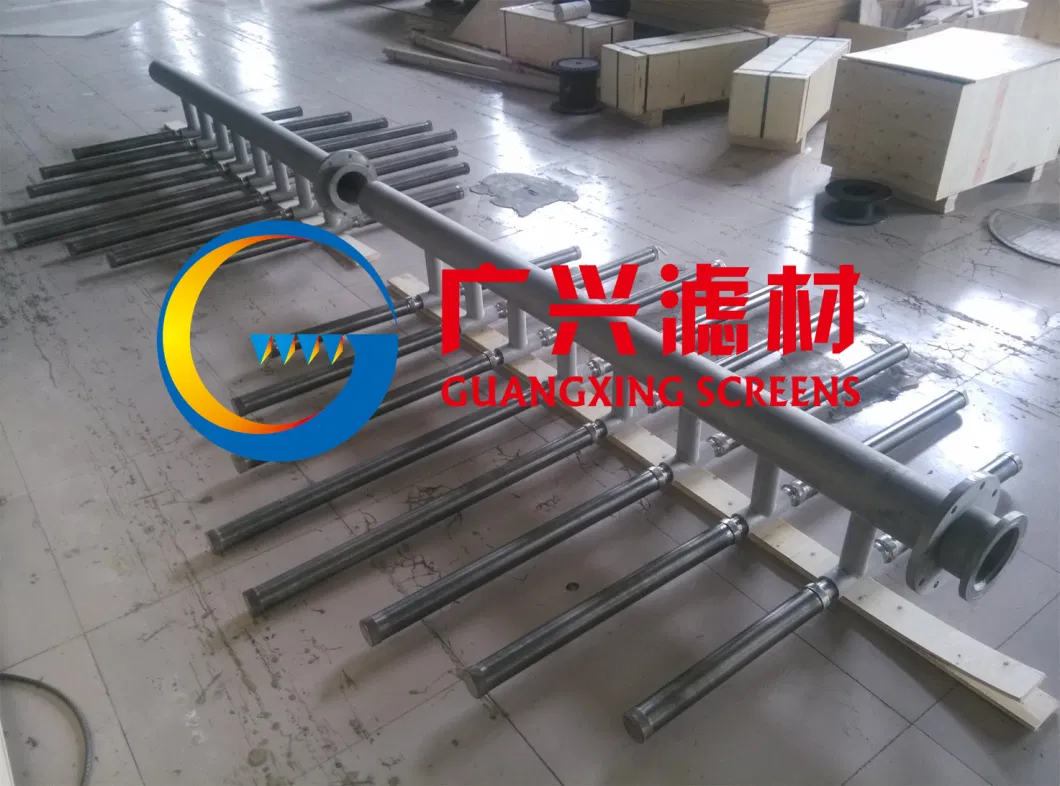 Stainless Steel Wedge Wire Lateral Assemblies