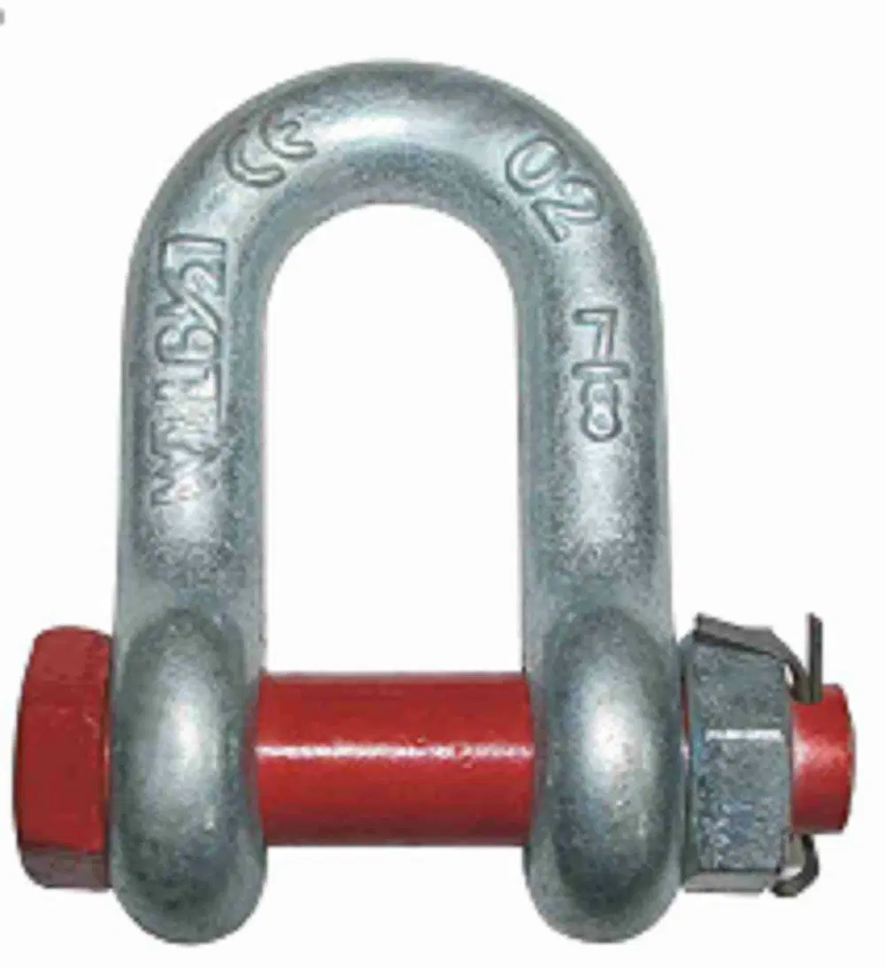 Stainless Steel Wire Rope Shackle Forged Black D Ring Shackle