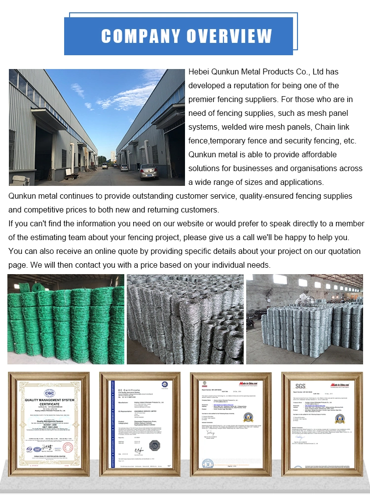 Hot-Dipped Galvanized Barbed Wire for Airport Security Fence