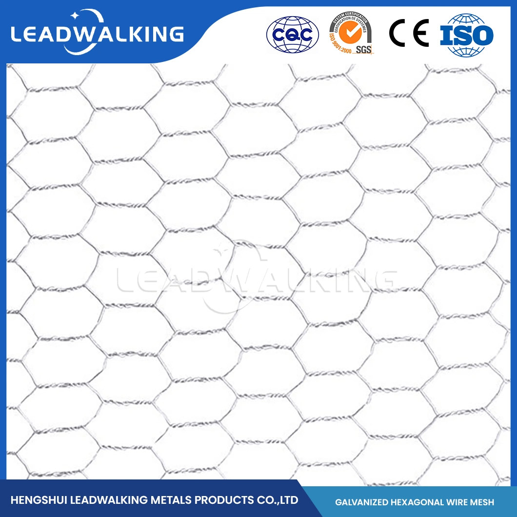 Leadwalking China Stainless Steel Poultry Netting Suppliers Mild Steel Wire Material 3cm*1.25 Inch Hexagon Galvanized Netten