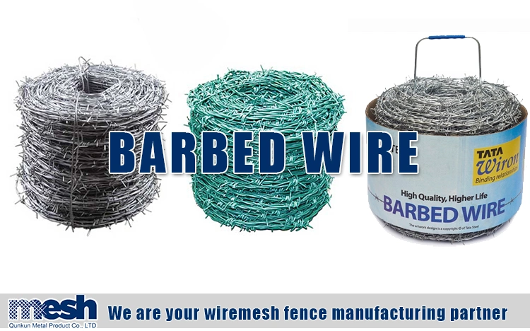 Hot-Dipped Galvanized Barbed Wire for Airport Security Fence