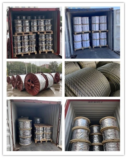 Manufacturer 2, 6mm, Cover Palyamide PA12 to 3, 2mm, Type: 1X19 (1+6+12) Galvanized Wire Rope Steel Cable