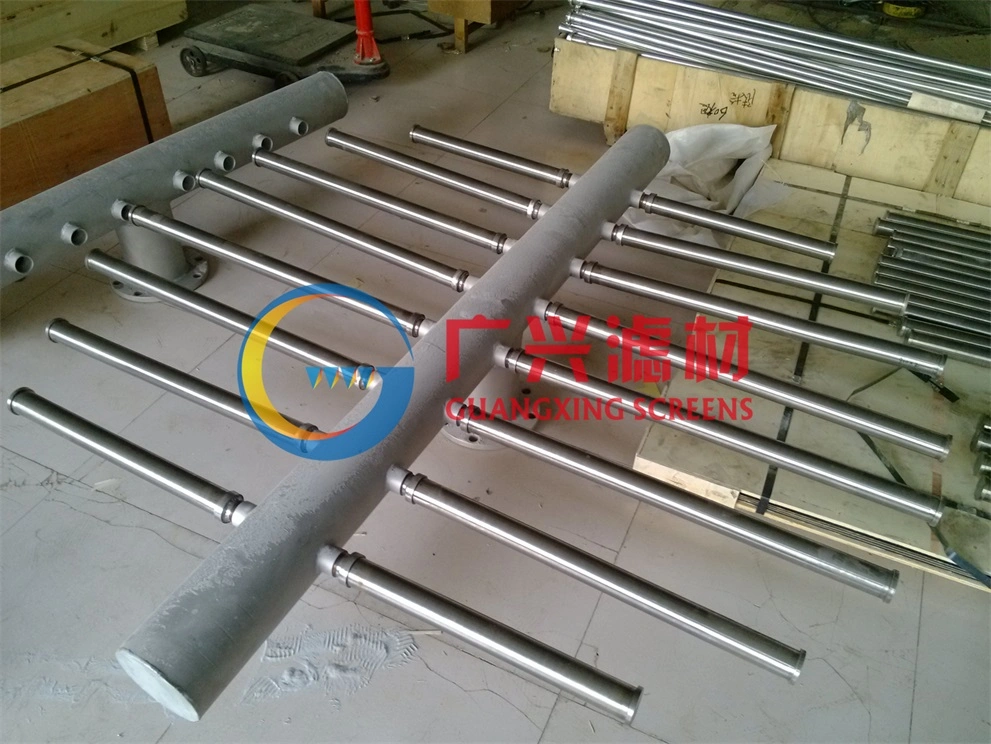 Stainless Steel Wedge Wire Lateral Assemblies