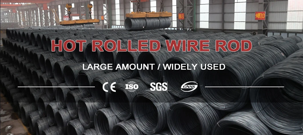 SAE1006 SAE1008 SAE1010 Q195 Q235 5.5mm 6.5mm Low Carbon Hot Rolled Steel Wire Rod