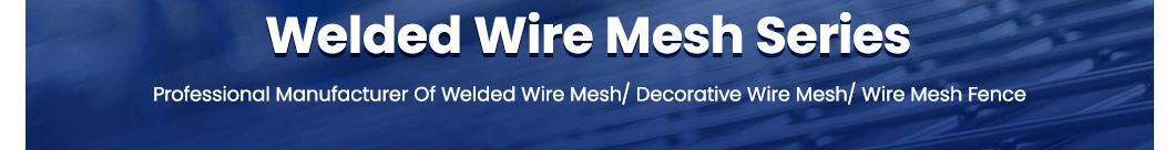 Pengxian 3/4 X 3/4 Inch Vinyl Welded Wire China Manufacturers Welded Mesh Wire Used for 2 Inch Mesh Fencing