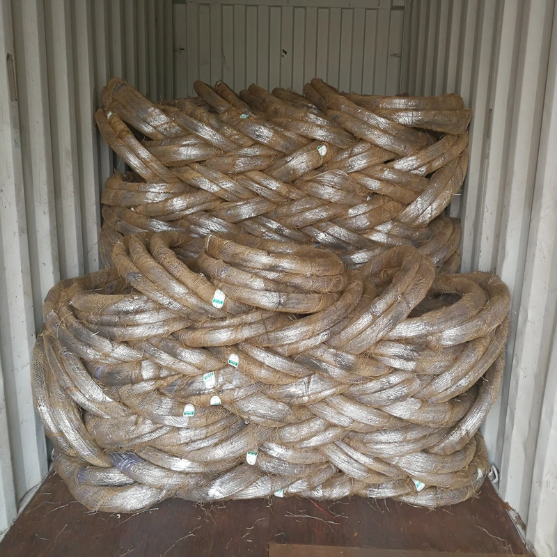 Soft Quality Hot Dipped Galvanized Wire with ISO9001 with Bright Shiny Colour