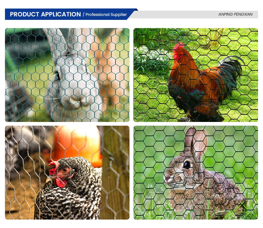 Pengxian Wire Mesh Hexagonal Chicken Wire China Factory 1 Inch Vinyl Coated Chicken Wire Used for T Post Chicken Wire Fence