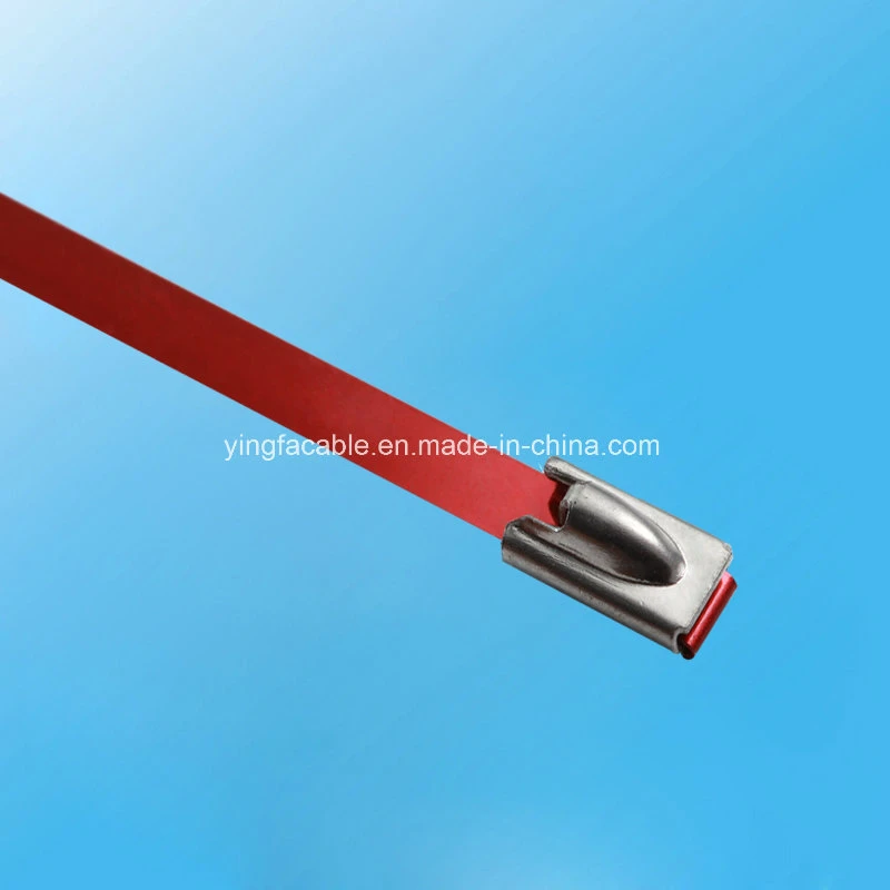 304 316 Stainless Steel Ball Locked Cable Ties with PVC Coated