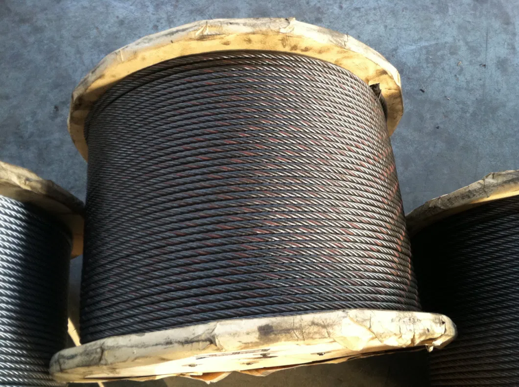 Galvanized and Ungalvanized Steel Wire Rope 6X36+FC 6mm-50mm Wire Rope