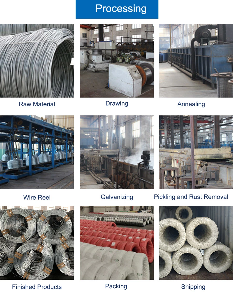 Hot Dipped Galvanized Steel Wire Q195 Q235 Guy Stay and Cable Wire