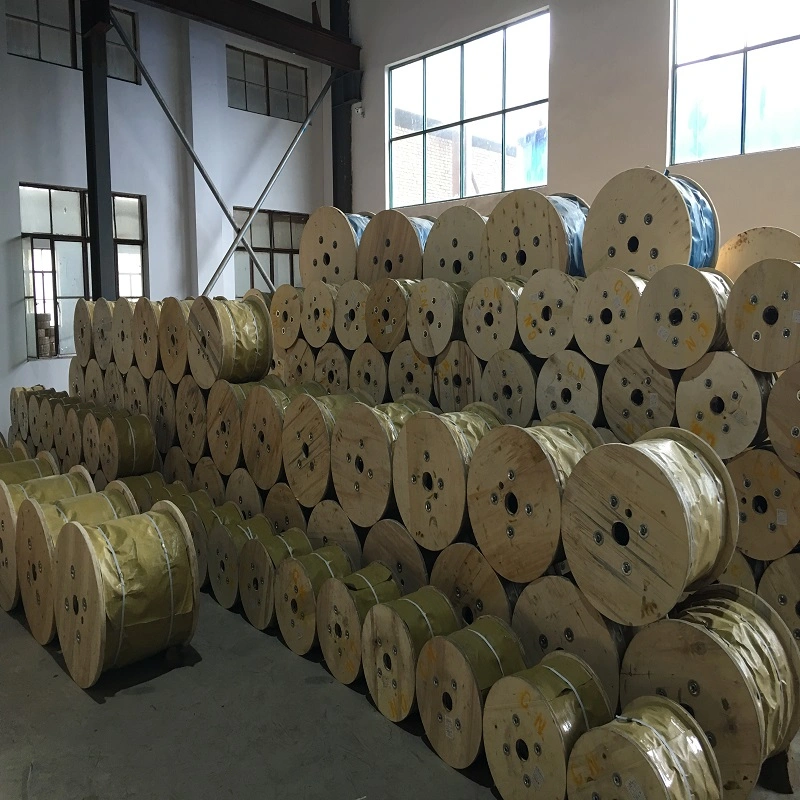 Electro Galvanized Steel Wire Rope 19*7 High Tensile Strength High Carbon Wire Ropes 7X7 Galvanised Steel Cable for Sale