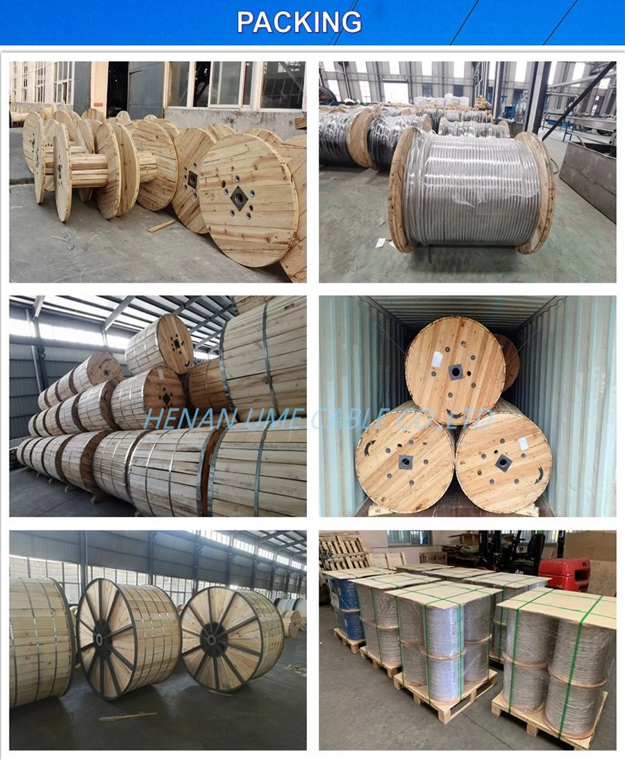 Overhead Distribution/Transmission Line Aluminum Conductor Steel Reinforced Bare ACSR Conductor Power Cable