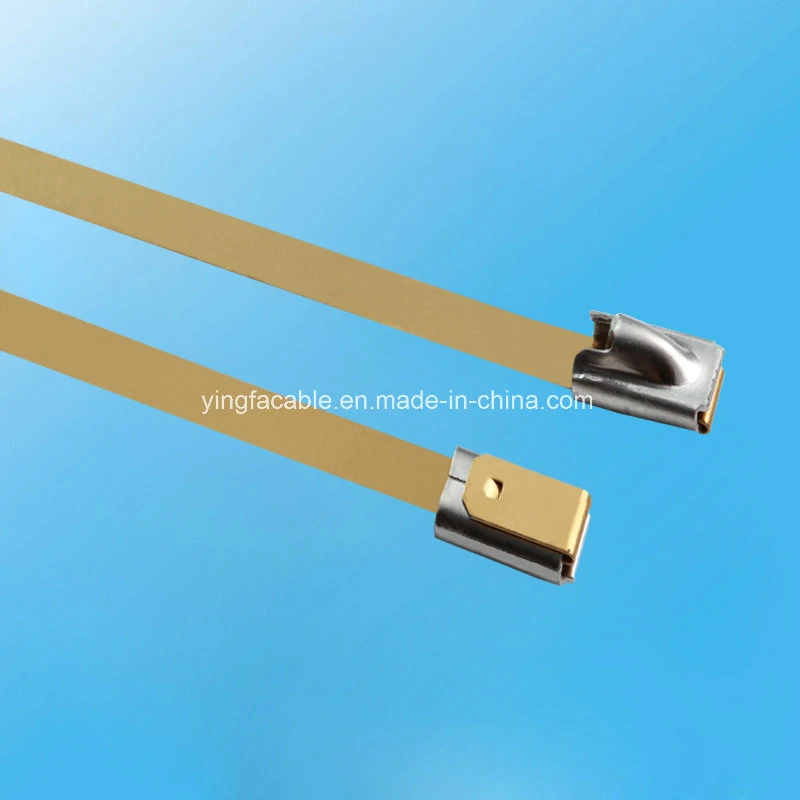 304 316 Stainless Steel Ball Locked Cable Ties with PVC Coated