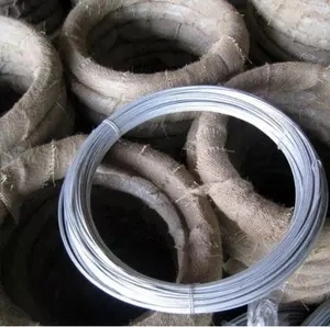 Chinese Supplier 0.8-4.5mm Gi Iron Wire Rope 2.5mm Roll 16 Gauge 18 Gauge Metal Binding Wires Rod Shinning Steel Hot Dipped Galvanized Zinc Wire for Hanger