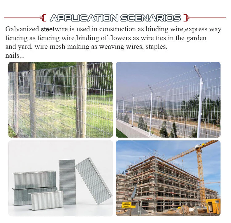 Chinese Supplier 0.8-4.5mm Gi Iron Wire Rope 2.5mm Roll 16 Gauge 18 Gauge Metal Binding Wires Rod Shinning Steel Hot Dipped Galvanized Zinc Wire for Hanger