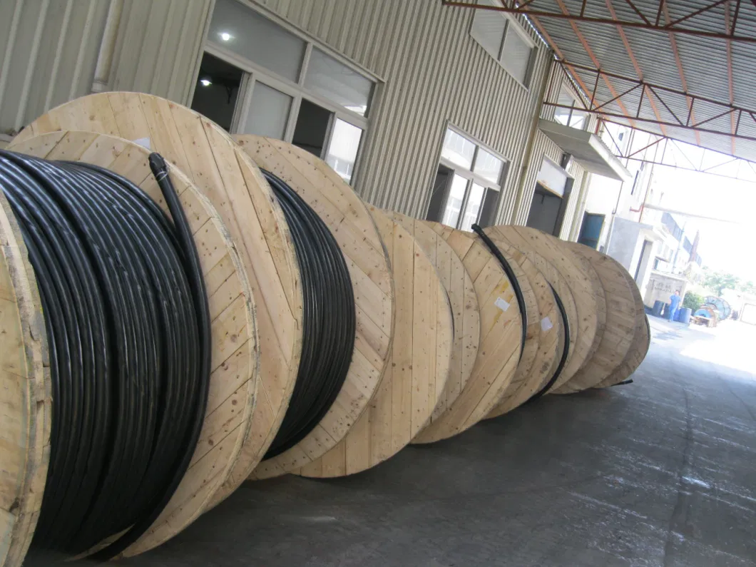 Safety Certified Armoured Electrical Cable for Risk Free Use