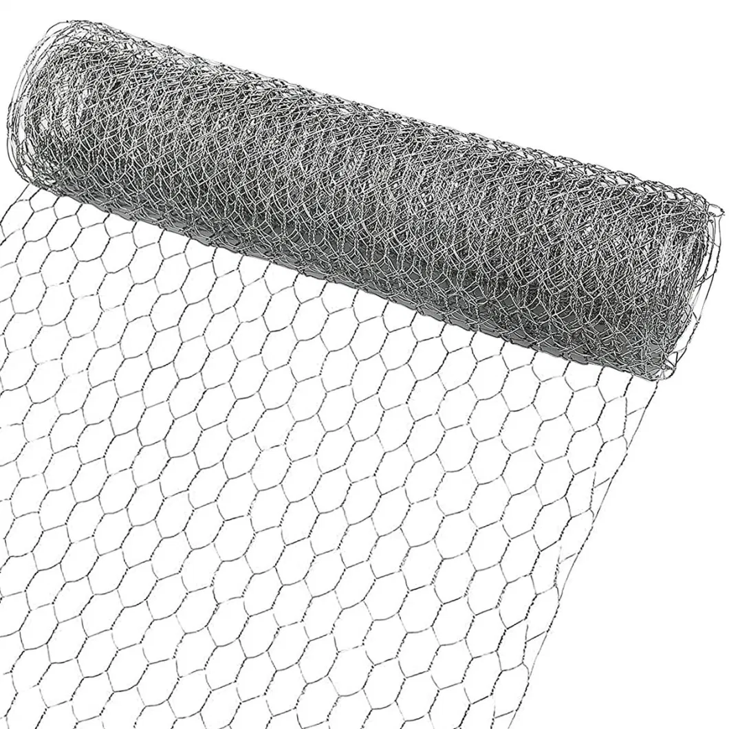 Leadwalking China Stainless Steel Poultry Netting Suppliers Mild Steel Wire Material 3cm*1.25 Inch Hexagon Galvanized Netten