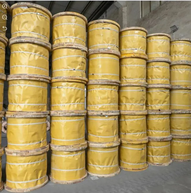 Galvanized Steel Wire Rope DIN3055 DIN3066 DIN3068 DIN3058 ISO2408 Galvanized Aircraft Cable