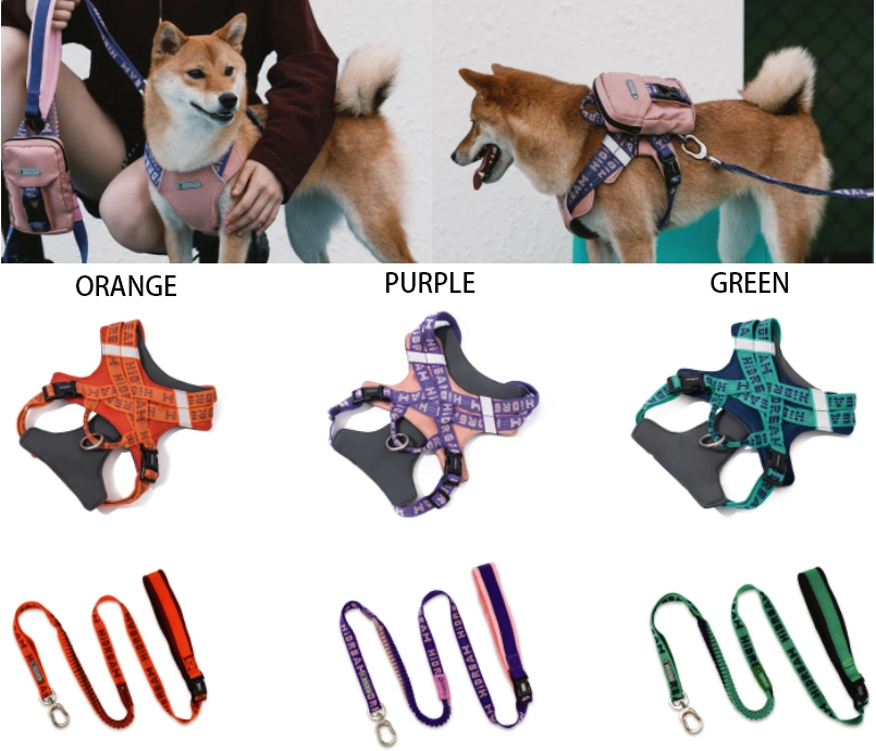 Adjustable Customized 110g Light Weight Dog Leash &amp; Lead Rope for 40kg Dog