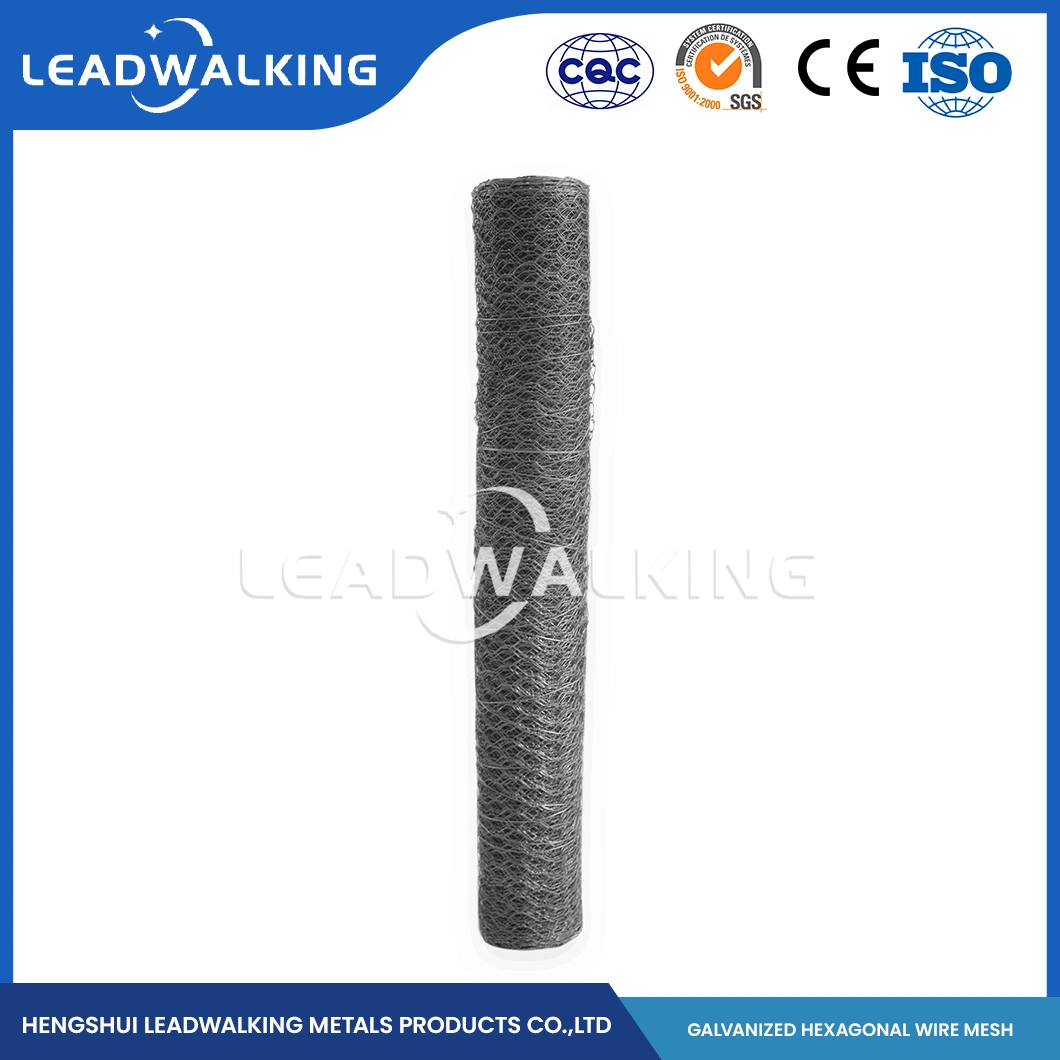 Leadwalking China Screen Chicken Wire Manufacturing Stainless Steel Wire Material 1.8cm*5/8 Inch China Anping Hexagonal Mesh Galvanized Wire