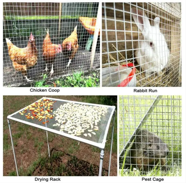 Low Carbon Steel Wire Green Vinyl PVC Coated Welded Wire Mesh Panels Rolls 1in X 1in Welded Wire Mesh for Garden Agriculture Poultry Animal Rabbit Cage