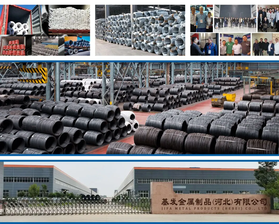 Coated Iron Wire Stainless Steel Galvanized Plastic Coated Truncated Wire High Iron Binding Wire