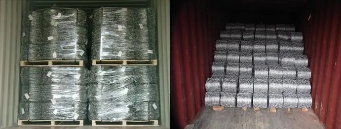 China Factory Plastic Coated Coiled Carbon Steel Barbed Wire