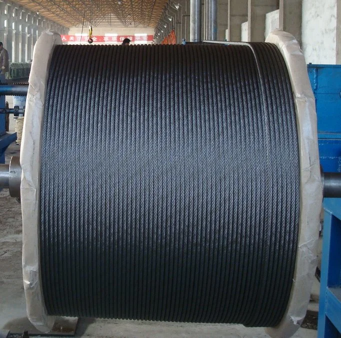 Galvanized Steel Aircraft Cable 7X19 Elevator Steel Wire Rope 10mm 12mm