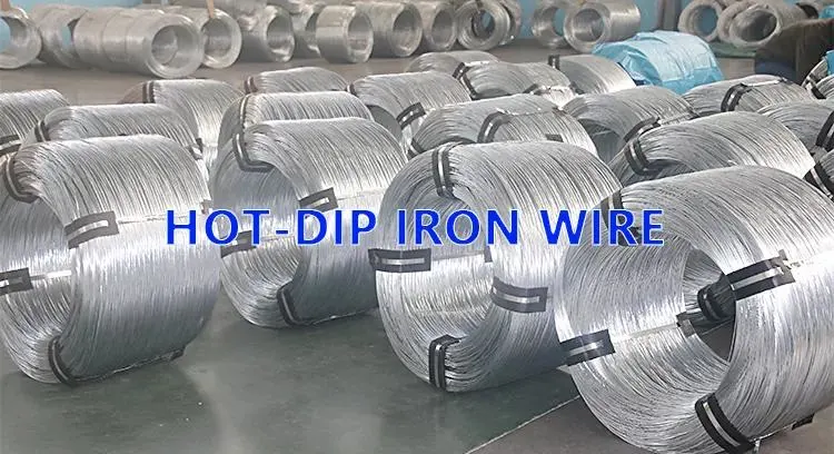 Galvanized Binding Wire Swg 12 14 Bwg 20 21 22 Gi Wire