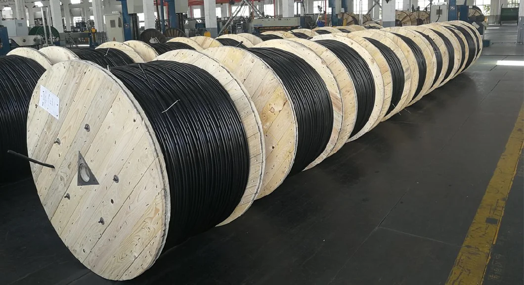 2C 2.5mm2+E SY Braided Cable Flexible Copper Conductor Braided Steel Wire Armored Transparent PVC Sheathed