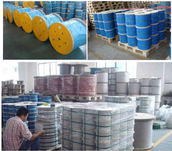 Color PVC Coated Wire Rope 304 Stainless Steel Cable 7X7