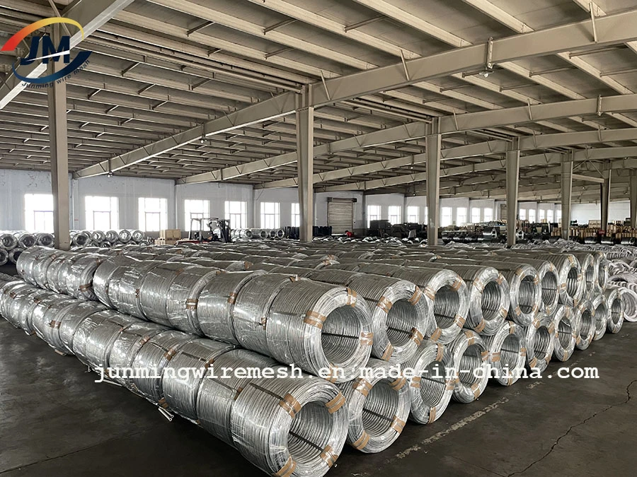 Hot Dipped/Electric Galvanized Mild Steel Binding Wire/Black Annealed Rebar Iron Tie Wire 16 Gauge Stainless Steel Spool for Construction/Building Material